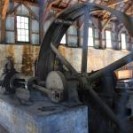 IMG_7549 (May 28, 2024)